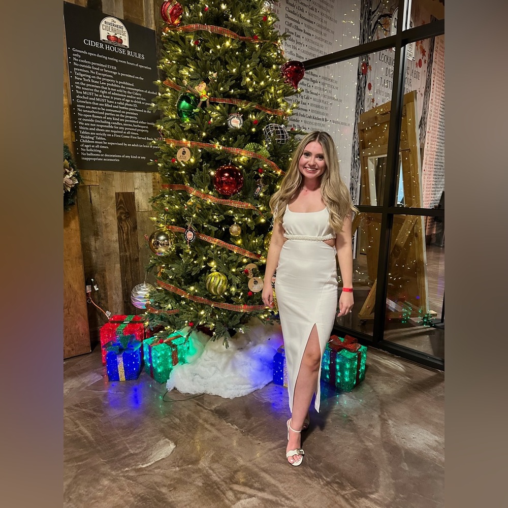 Likely NYC Taliah dress